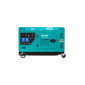 Дизельний генератор INVO DS-11000EA у кожусі, 10/11кВт, 220В